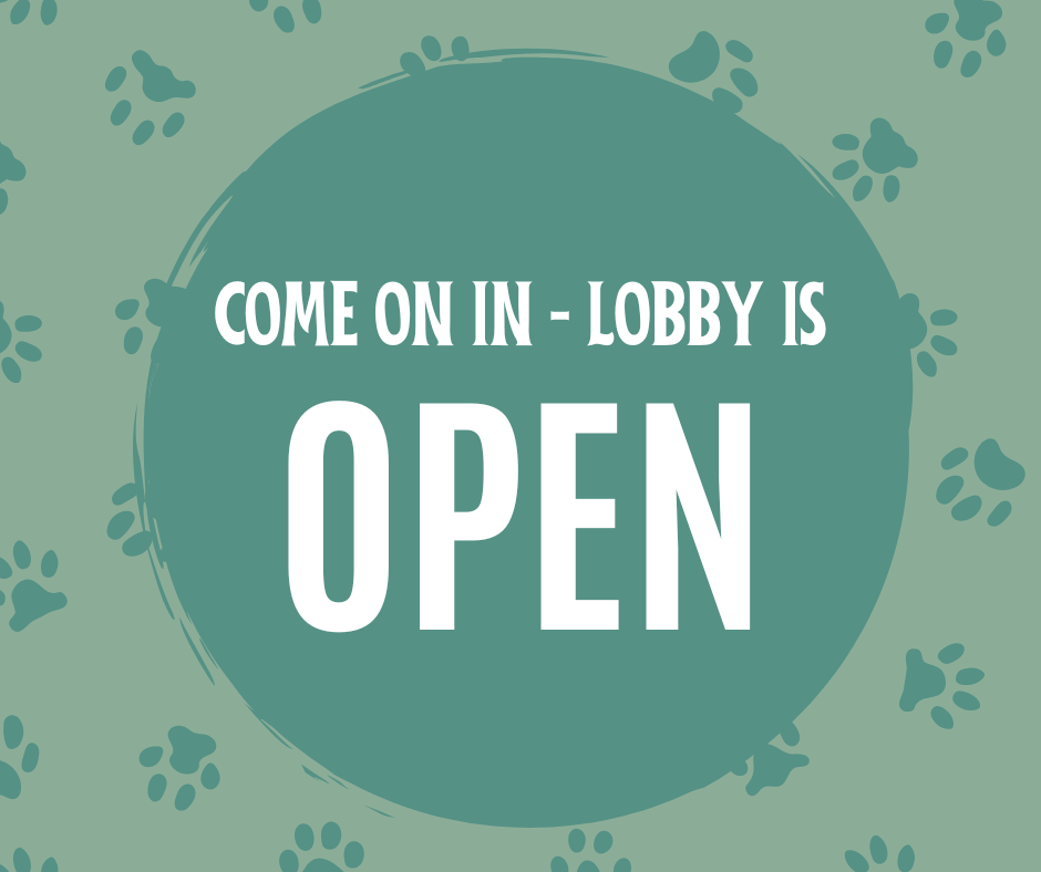 Lobby is Open